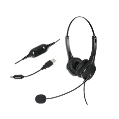 headset with Mic